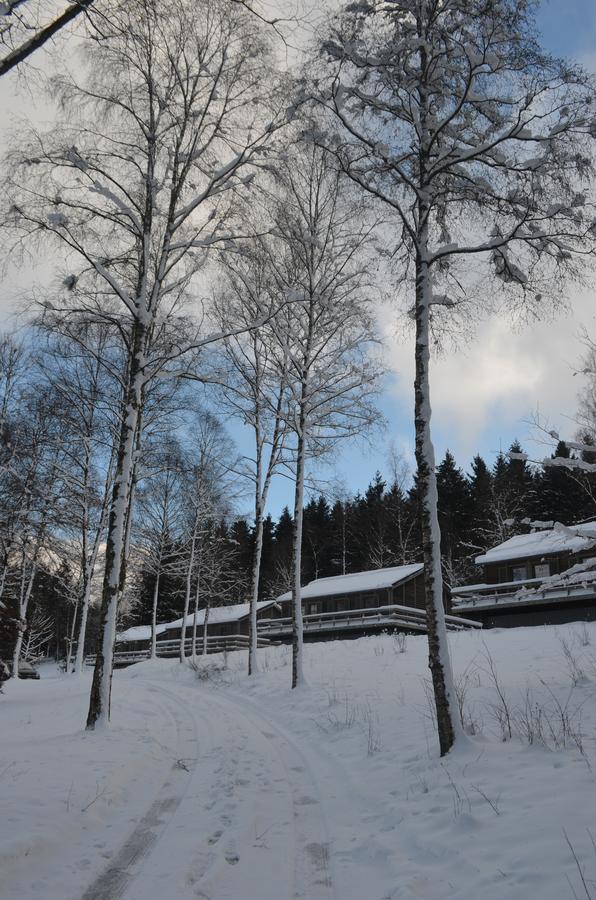 Chalet Le Forestier Bullange Exterior photo